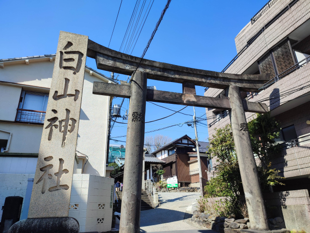 白山神社の鳥居