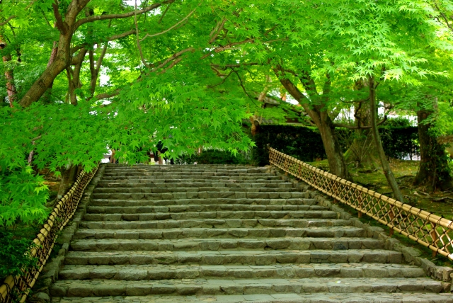 龍安寺垣と参道