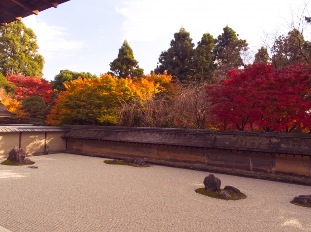 龍安寺 枯山水の紅葉