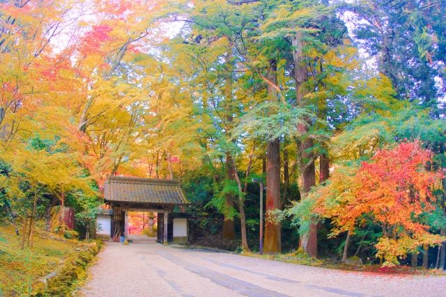 豊田市足助町香嵐渓の香積寺