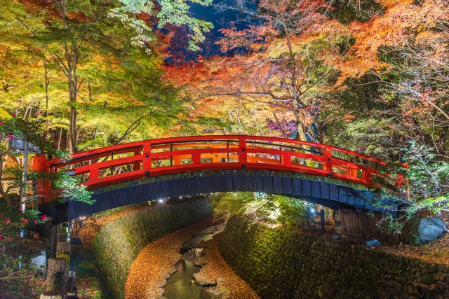 北野天満宮の紅葉・夜間特別拝観