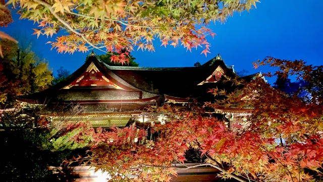 京都_北野天満宮の紅葉ライトアップ