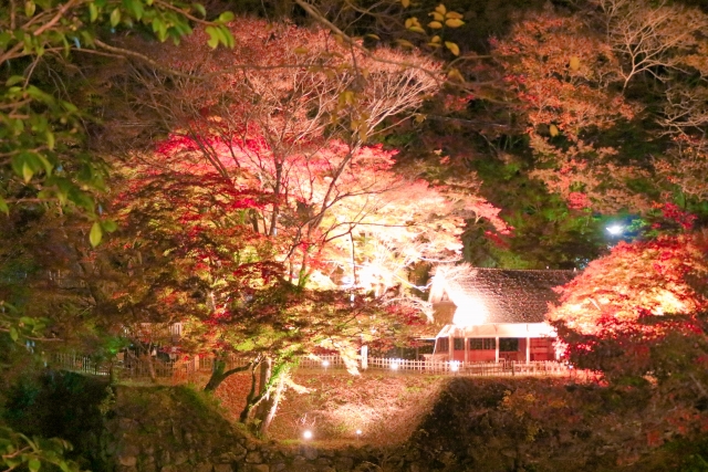 豊田市足助町香嵐渓の紅葉と茶屋のライトアップ