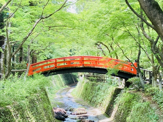 北野天満宮の青紅葉と鶯橋