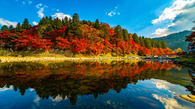 足助町香嵐渓のモミジやカエデが綺麗な紅葉